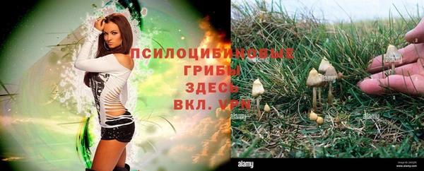 COCAINE Алзамай